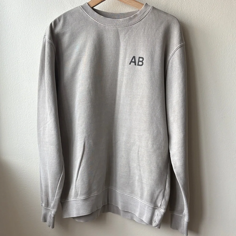 Andrew Bird Sweatshirt Inside Problems Concert Indy Folk Rock Tour Merch Size S - Picture 1 of 4